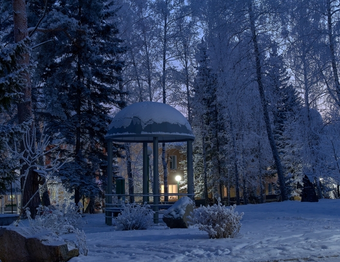 Санаторий «Барнаульский» Барнаул